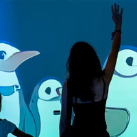 Antarctica Experience