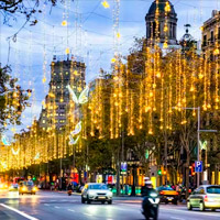 Christmas Lights Bus Tour